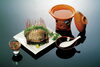 黒あわびの“しゃぶしゃぶ”「房州産黒あわび入荷しました」