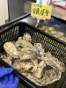 「八千代の新名物「彩り牡蠣」🦪【立ち食い活貝、海鮮丼、定食など八千代市にある海の家】」
