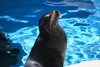 「【募集中】サンライZOO　モーニングツアー」