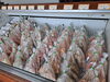 「🐔生串販売開始のお知らせ🐔」
