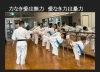 正しい力の使い方を学ぶ「「愛なき力は暴力、力なき愛は無力!!」　初心者に優しい空手師範のBlog【月心会 名古屋本部道場です。名古屋市中区・千種区（名東区）・緑区で子供、女性、社会人、シニア向けにアットホームな雰囲気で空手を指導してます。初心者大歓迎 】」