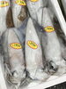 「魚魚市場鮮魚コーナーおすすめは「水イカ」です♪」