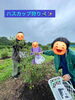 お天気は曇り⇒雨だったけど楽しかったよ！「ハスカップ狩り🌳【札幌市北区児童デイサービスこぱんはうすさくら札幌太平教室】」