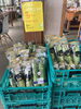 「🌽とうもろこし入荷してます」