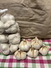 青森産にんにく「にんにくの紹介」