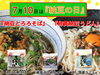 「7月10日は「納豆の日」🎵」