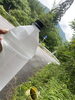 湧水くみ「【限定】水晶山の伏流水丸氷サービス」