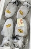 「魚魚市場鮮魚コーナーおすすめは「紋甲イカ」です♪」