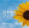 ひまわりフェア「7月14日はヒマワリの日🌻ひまわりフェア開催中です♪【越前市/花屋/生花/フラワーアレンジメント/ふるーれ・T】」