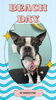 「Dog salon mofu mofu　余市町」
