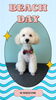 「Dog salon mofu mofu　余市町」