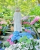 「40代からの人生もっとステキに輝かせませんか？【和歌山駅前ダイエットサロン併設料理教室】」