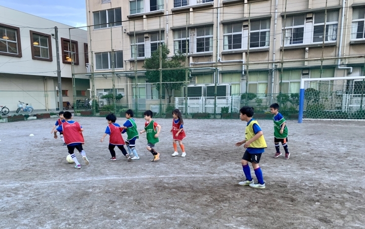 「小学生低学年のサッカー活動風景！」