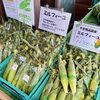 「木曽産とうもろこし入荷しました！道の駅木曽福島」