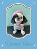 「Dog salon mofu mofu　余市町」