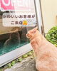 「うなぎと焼き肉や、茄子の田楽みそ和えなど新商品も登場！」