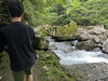 湿気の集まる所「ひだち教室体験活動記Vol.16〜赤目四十八滝トレッキング②〜」