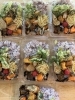 おまかせ弁当「お弁当色々[テイクアウトも充実、当日も注文ＯＫ]」