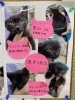 「子猫の里親が決まりました」