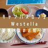 「キャンパスカフェ『Westella』夏季休業期間のお知らせ」