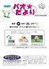 「星空！化石！工作！夏のパオはイベント盛りだくさん！【パオだより2024年8月号】」