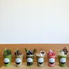 「【インスタ映えスイーツ】茶匠むろぞの和cafeの絶品ふらぺてぃー6種類をご紹介🌿」