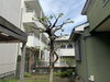 剪定作業後「庭木の剪定•伐採•草刈（相模原）施工事例」