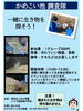 「いよいよ夏休み！今週末の水族館イベントは？【かすみがうら市水族館は、楽しく学べる体験スポットです♪】」