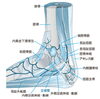 足根管「足根管症候群」