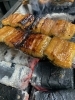うなぎ料理「うなぎ料理」