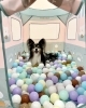 ルイくん「ましゃまろ幼稚園🐾」