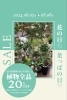花の日・葉っぱの日セール「花の日・葉っぱの日セール」