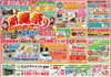 リフォーム箇所によっては補助金が使えます！「ユウマペイント船橋店　夏祭りイベント開催いたします！～外壁塗装専門店のユウマペイント船橋店～」
