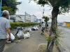 社屋前の草取り作業、みんなで頑張りました！「朝活」