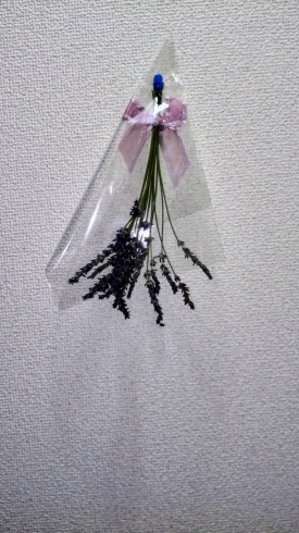 利用者さんから頂きました。「にこにこケアステーシ,利用者さんから頂きました!!【白井市訪問介護・相談支援】」