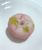 お稽古のお楽しみ！おいしくて美しい上生菓子♪「【東京で人気のカルチャースクール】エコールプチピエ銀座の茶道教室　お楽しみ【お稽古和菓子】」