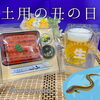 「うなぎ祭り」