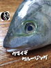 「シマアジ入荷致しました
【浜町の海鮮居酒屋 上なり】」