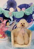お誕生日おめでとう🥳　きなこちゃん「Anniversary photo　」