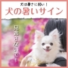 犬の暑いサインを見逃さないで！