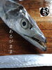 「太刀魚入荷致しました
【浜町の海鮮居酒屋 上なり】」