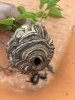 スズメバチの巣の駆除をしました!「川西市向陽台でスズメバチの巣の駆除をしました!」