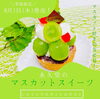 「＼8月1日（木）発売！マスカットスイーツ／」