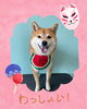 「Dog salon mofu mofu　余市町」