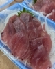 「初物のカジキマグロが入ってきました✨✨」