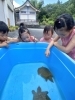 「八女で保育園をお探しの保護者様へ🐢」