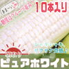 「🗣️ピュアホワイト掲載のご報告🌽」