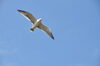 風「☆時の日和見〜毎日の時の力の使い方〜☆」