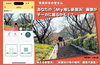新居浜の『あの場所』の写真をお待ちしております！「あなたの【My推し新居浜】画像がチーカに！？秋🍂らしい映えるお写真募集開始！」
