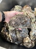 山北産天然岩牡蠣「天然岩牡蠣あります😋  『村上市で子連れランチができるお店、夜はおしゃれ居酒屋デイズ』」